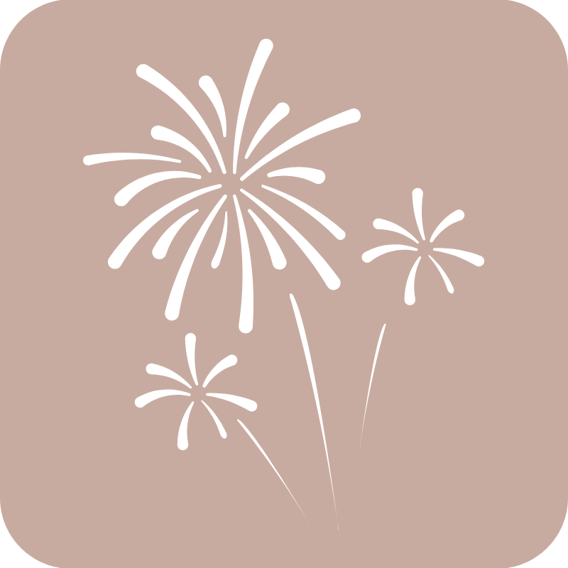 iconos ian - 2025-10-31T102647.436